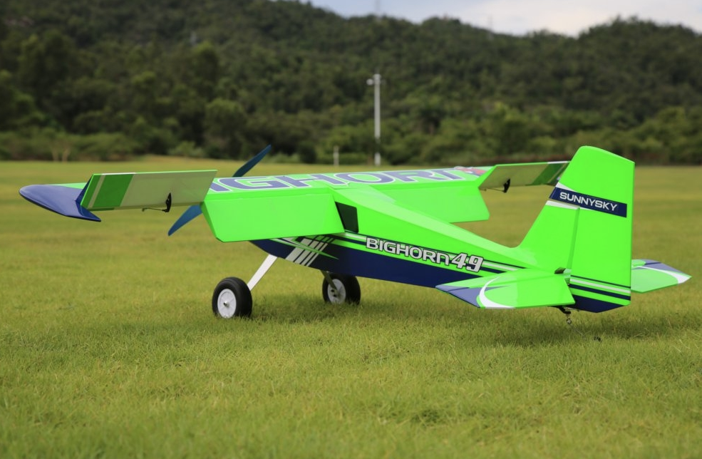 Bighorn Pro 1250mm Vert OMPHOBBY Voltige